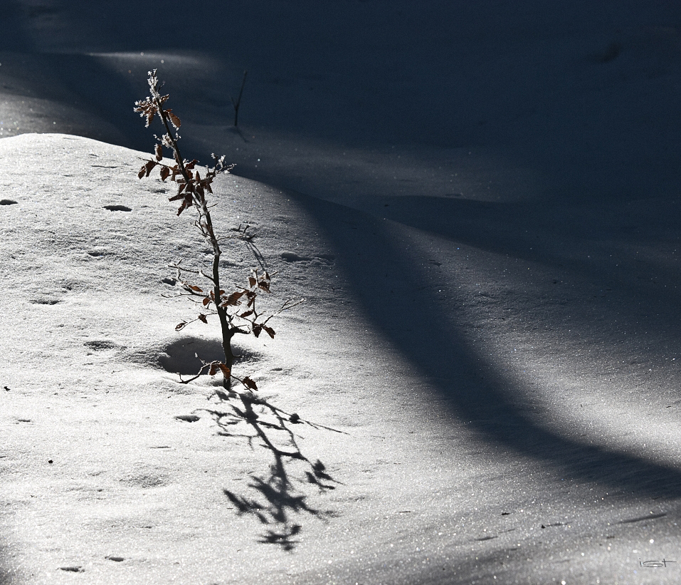 Schatten und Licht