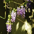 Schatten und Licht auf alten Wänden 