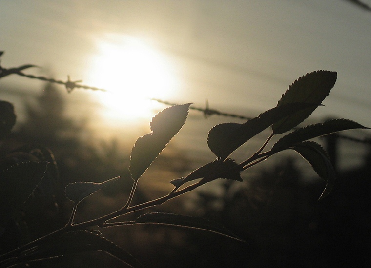 Schatten und Licht