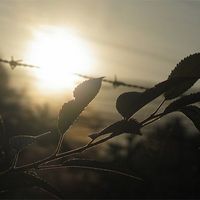 Schatten und Licht Constanze Rapp