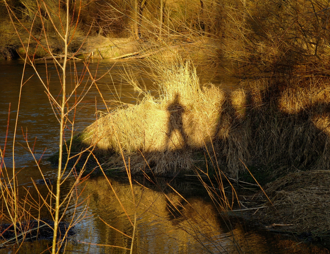 Schatten und sein Spiegelbild