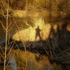 Schatten und sein Spiegelbild