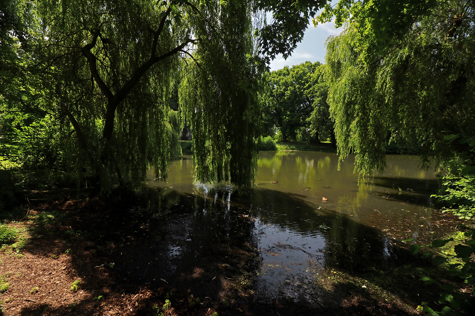 Schatten und Spiegelung