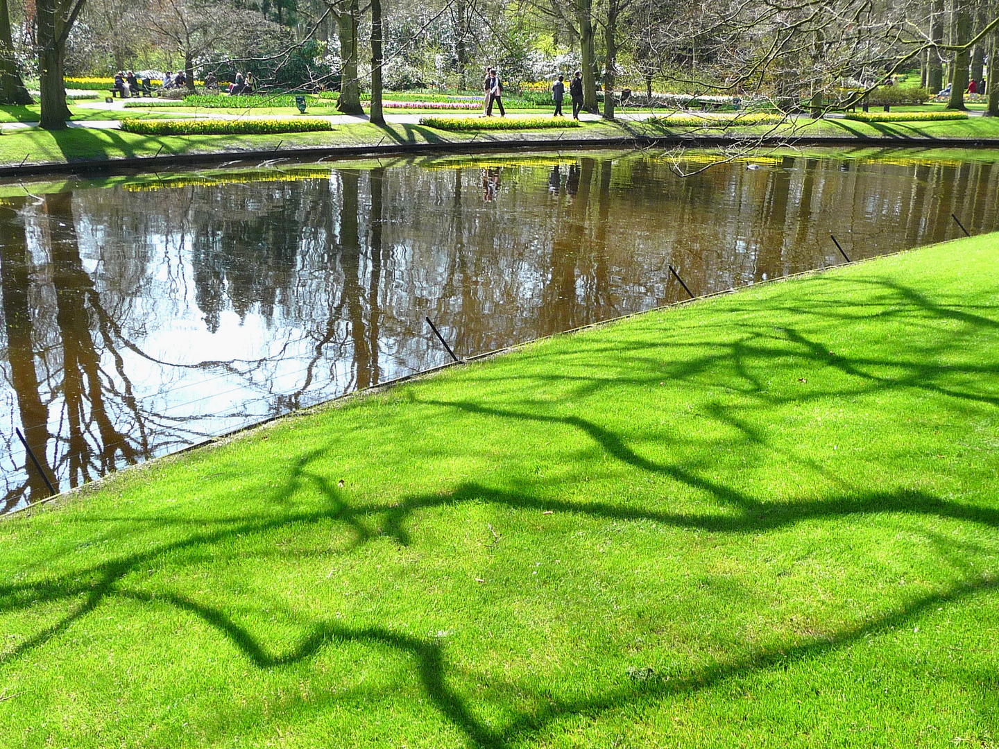 Schatten und Spiegelungen