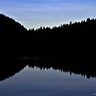 Schatten und Spiegelungen am Plansee