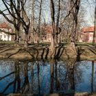 Schatten und Spiegelungen Strünkede