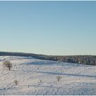 Schatten und Strukturen