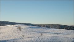 Schatten und Strukturen