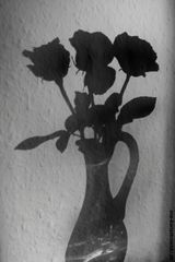 schatten-vase