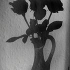 schatten-vase