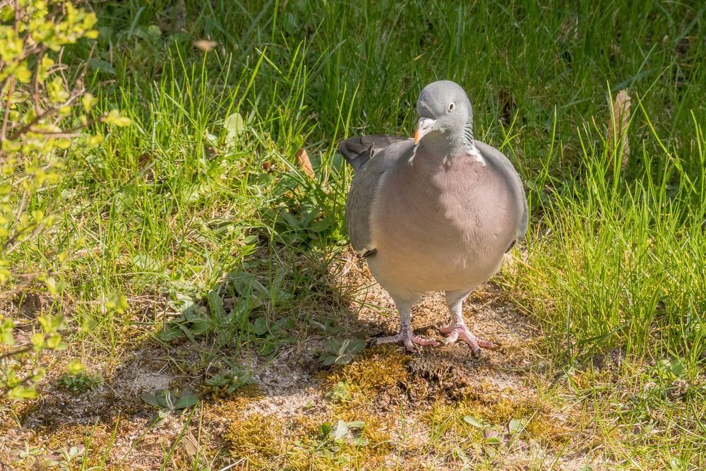 Schatten werfen