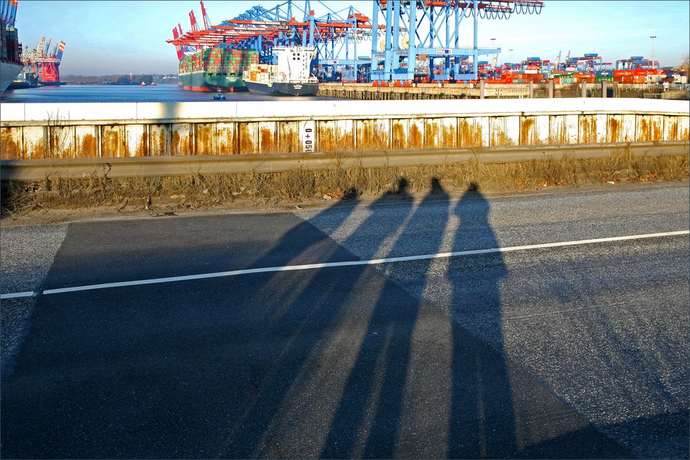 Schatten zu Besuch im Hafen
