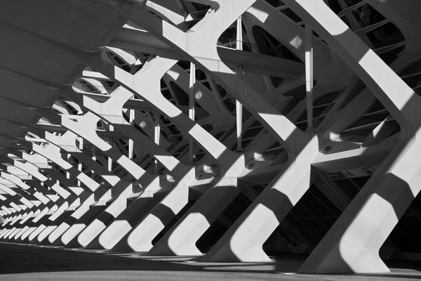 Schatten zwischen den Rippen