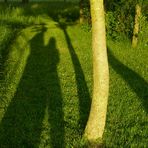 Schatten_2