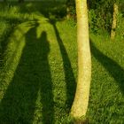 Schatten_2