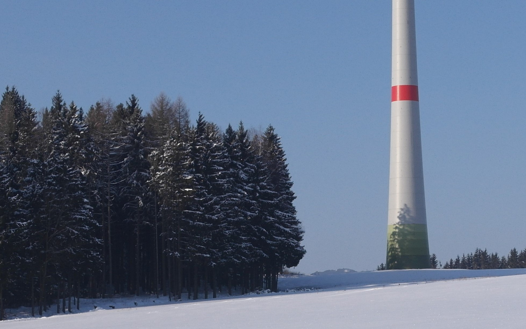 Schattenbaum am Windrad