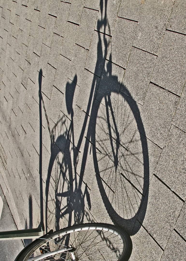 Schattenfahrrad 1