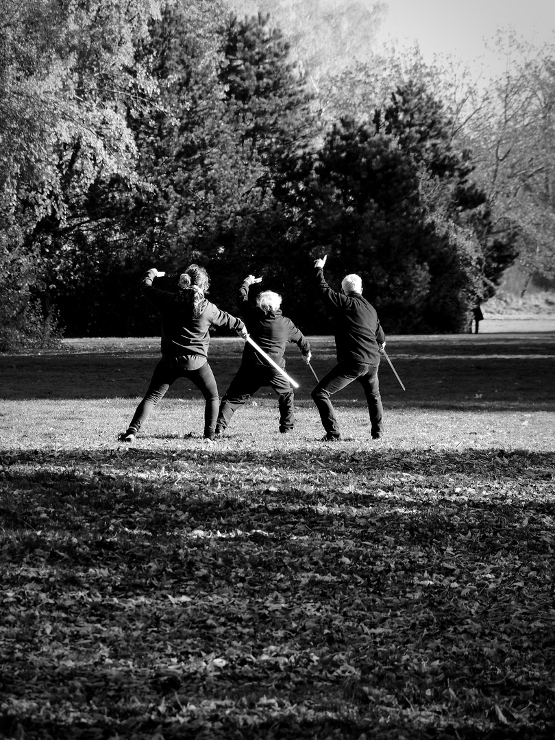 Schattenfechten im Park