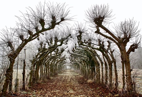 Schattengang mit Durchblick
