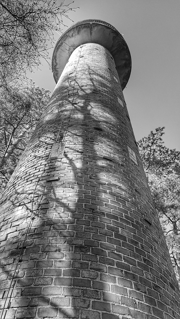 "Schattengewächs" am Turm