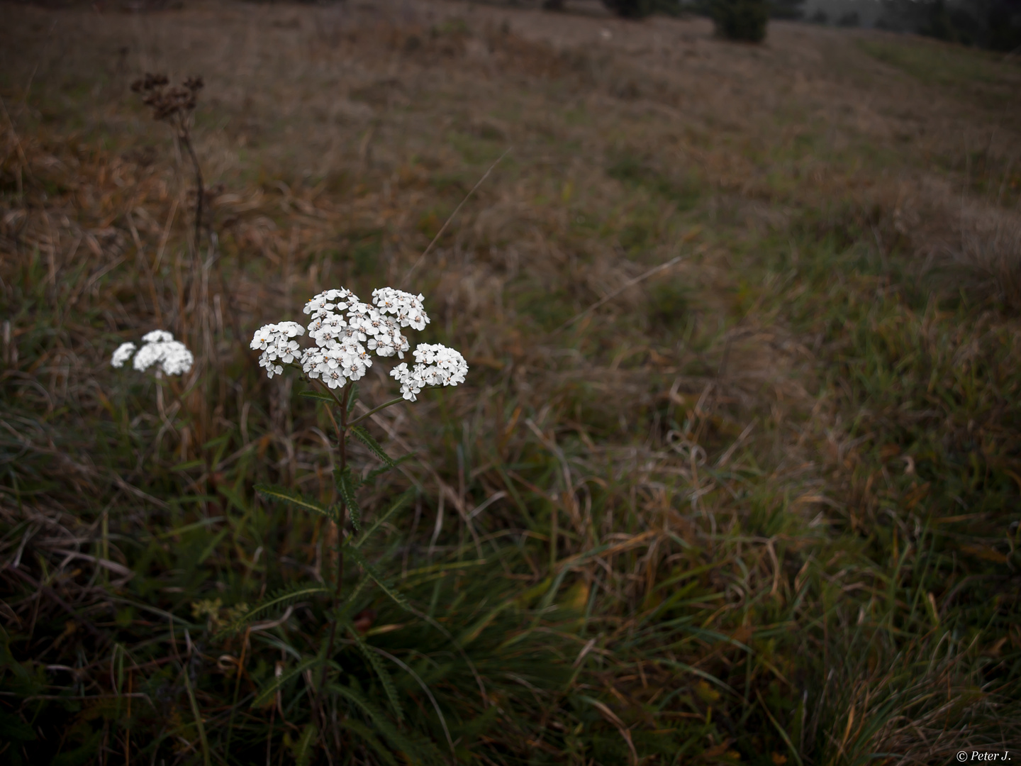 Schattenlandschaft...