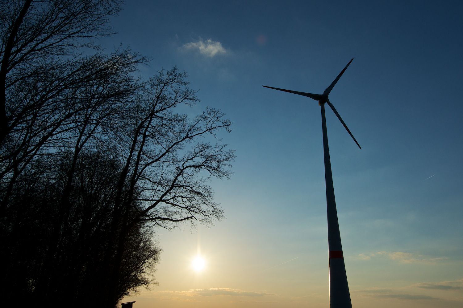 Schattenriss Windrad am Waldrand