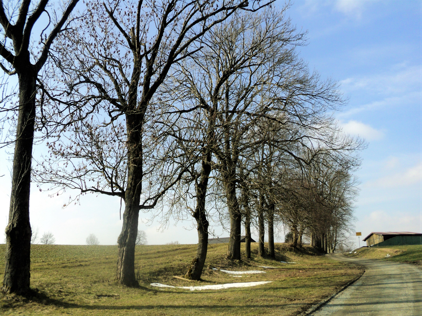 Schattenseite meiner Wegbegleiter 14.03.16