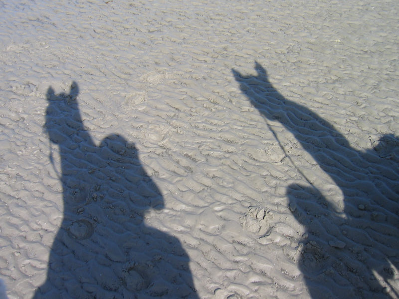 Schattensiele am Strand