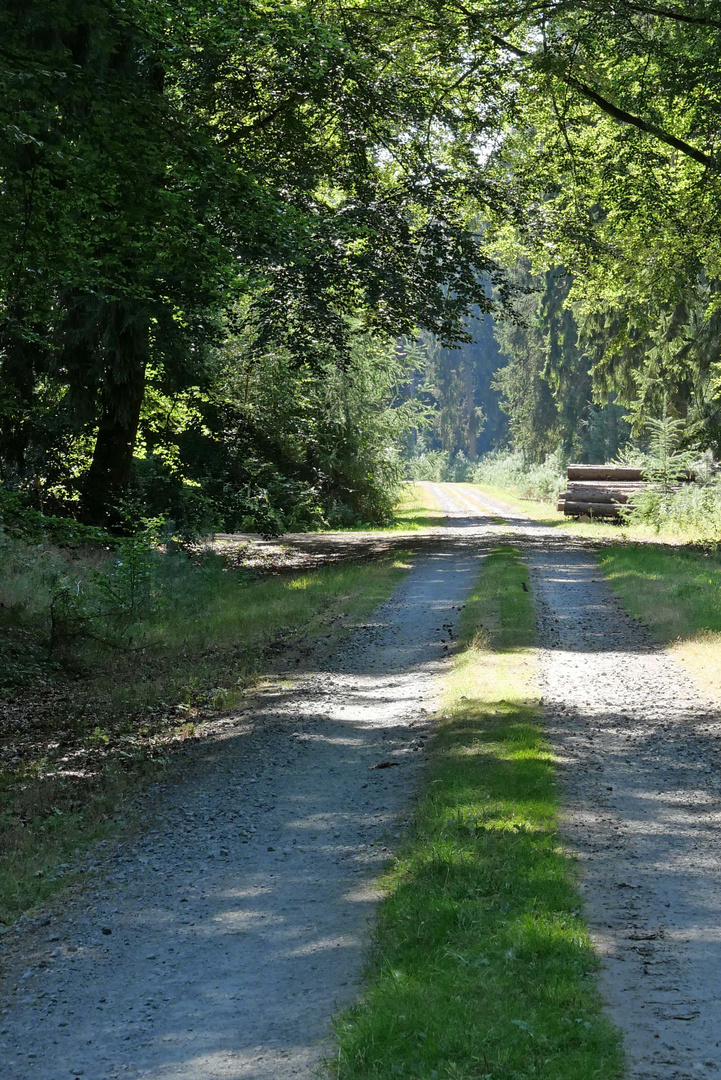 Schattenspaziergang