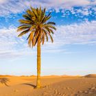 Schattenspender-Merzouga-Erg Chebbi