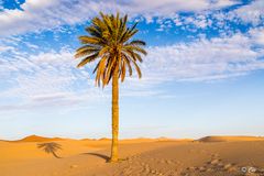 Schattenspender-Merzouga-Erg Chebbi