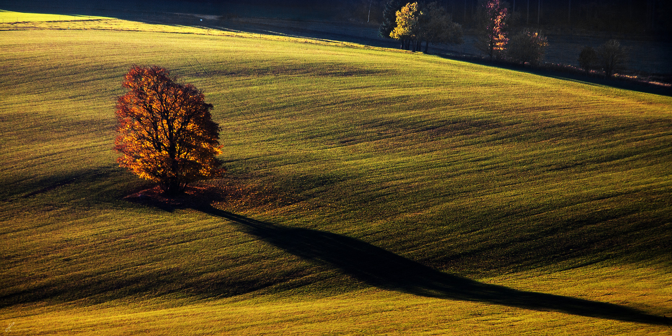 Schattenspiel