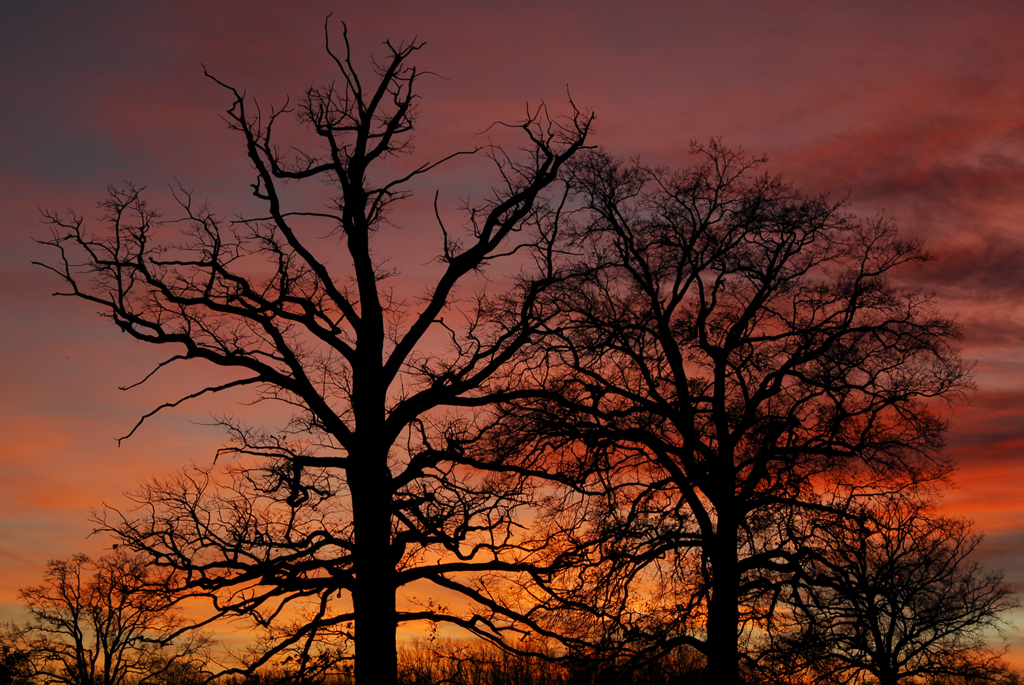 Schattenspiel am Abendhimmel