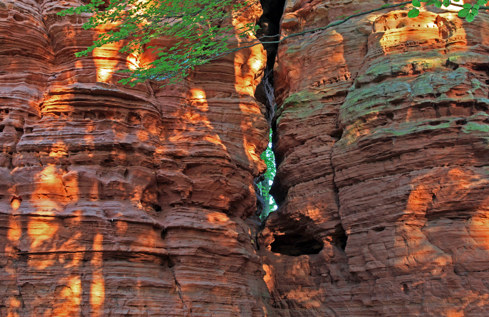 Schattenspiel am Altschlossfelsen