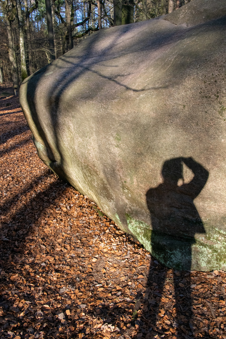 Schattenspiel am Giebichenstein