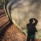 Schattenspiel am Giebichenstein