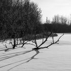 Schattenspiel am Överdieker See