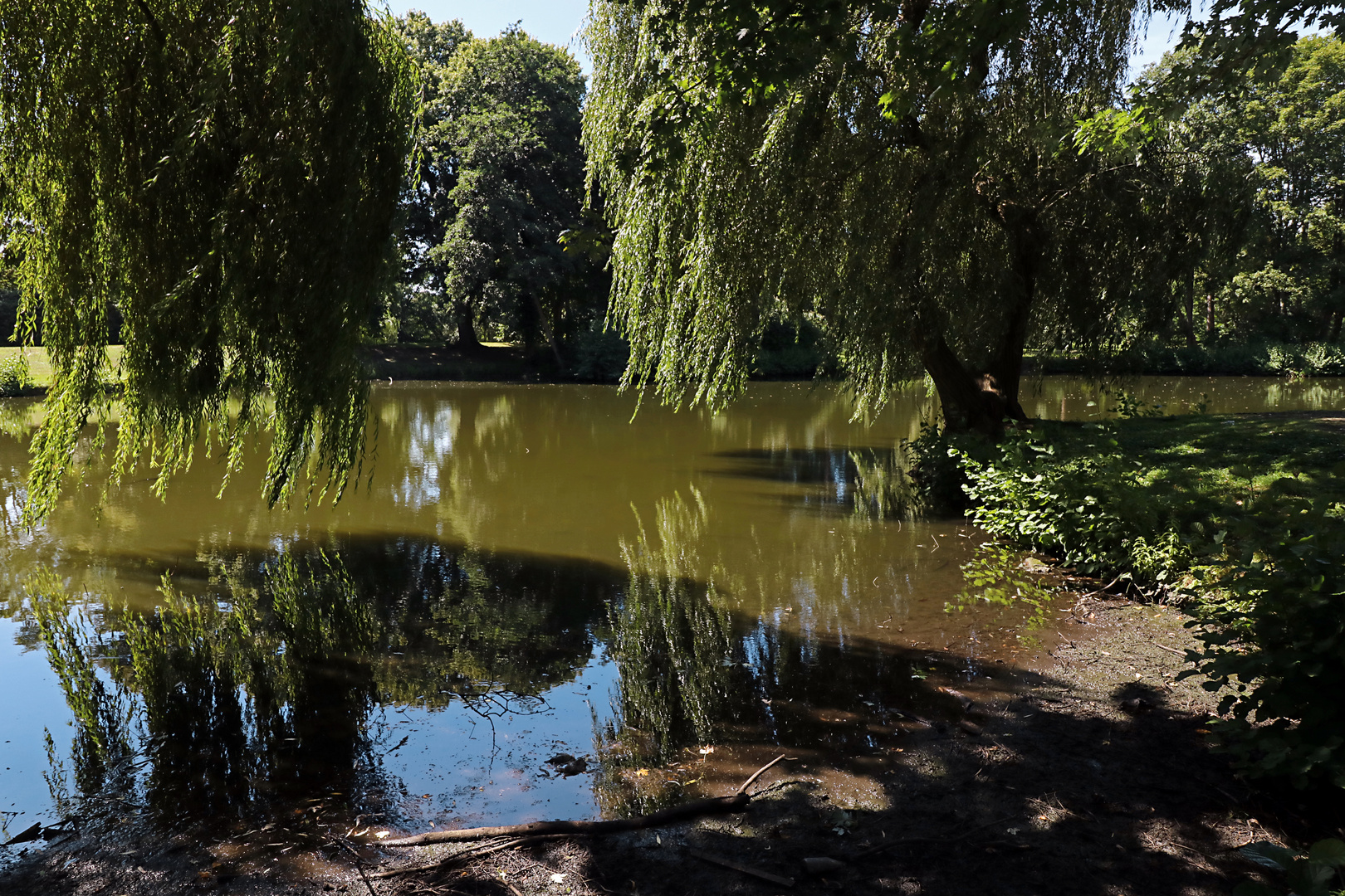 Schattenspiel auf dem Teich