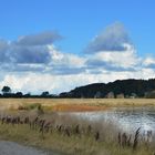 Schattenspiel auf der Insel