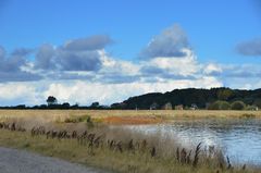 Schattenspiel auf der Insel