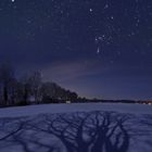 Schattenspiel bei Vollmond