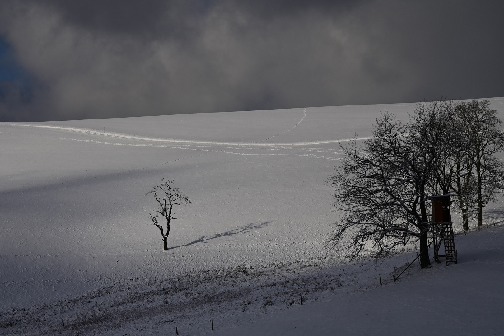 Schattenspiel