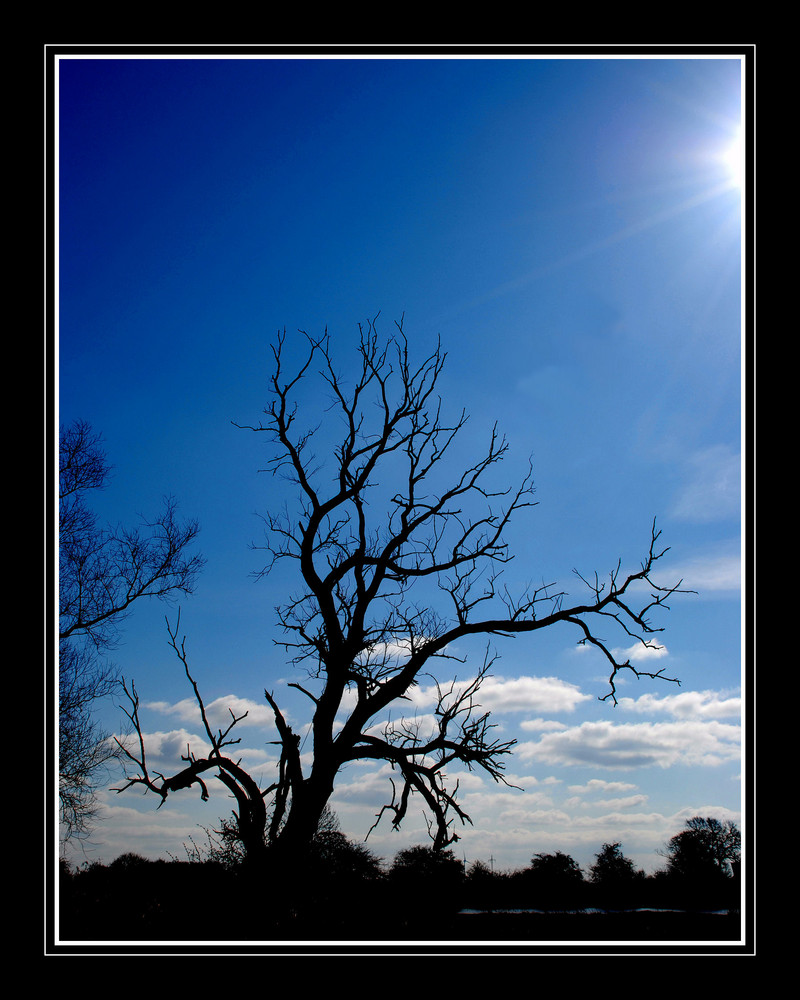 Schattenspiel im Licht