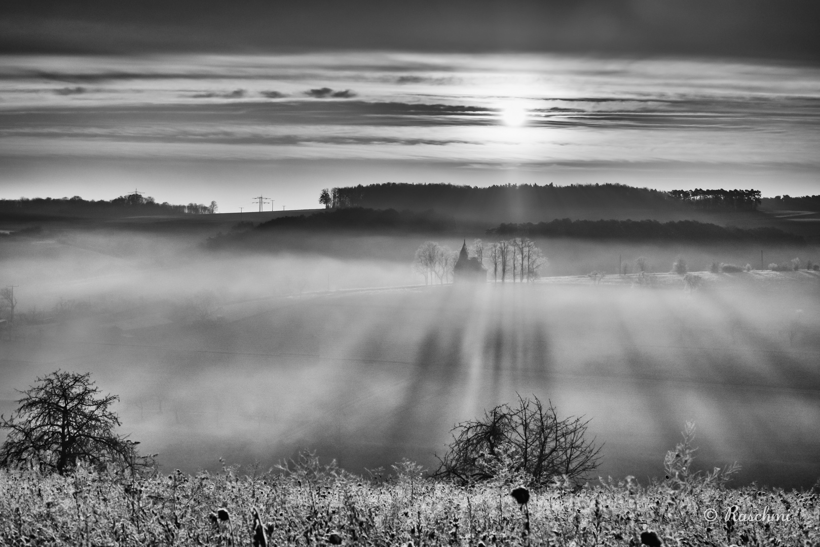 SCHATTENSPIEL im NEBEL