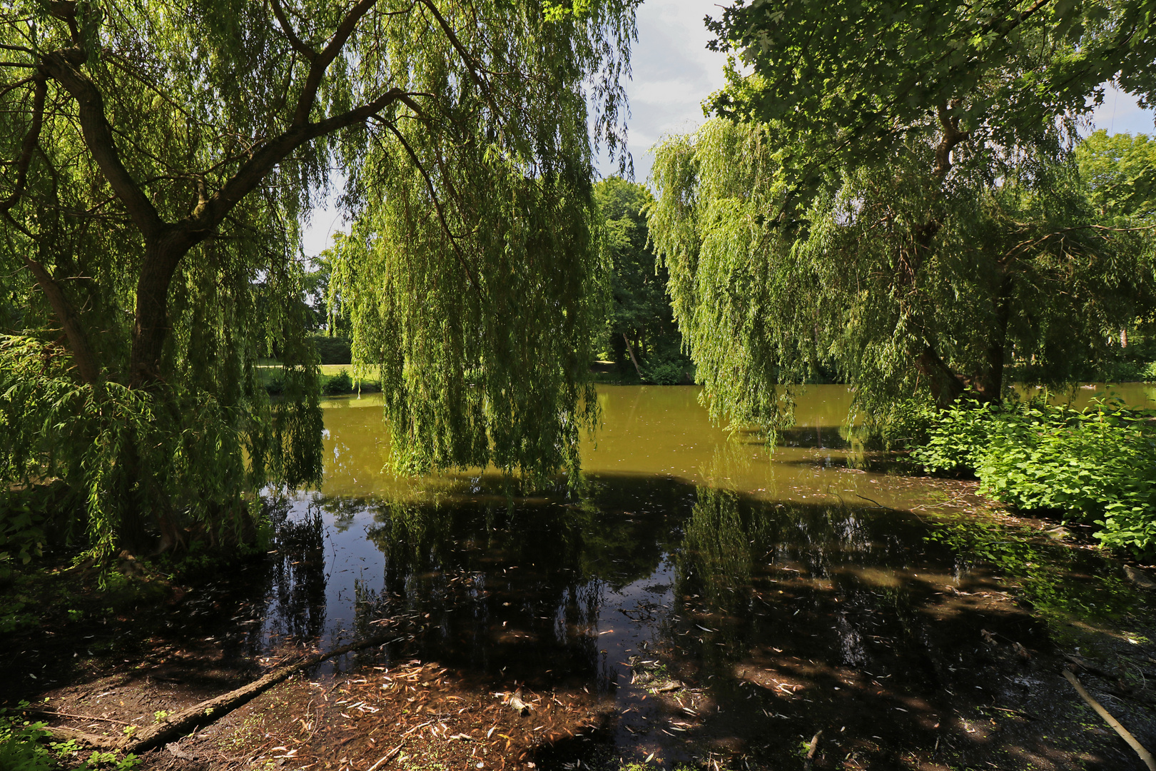 Schattenspiel im Park