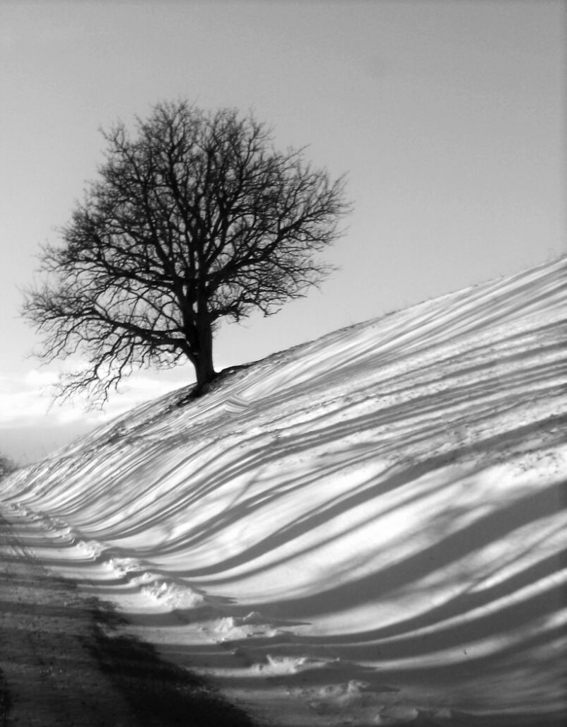 Schattenspiel im Schnee