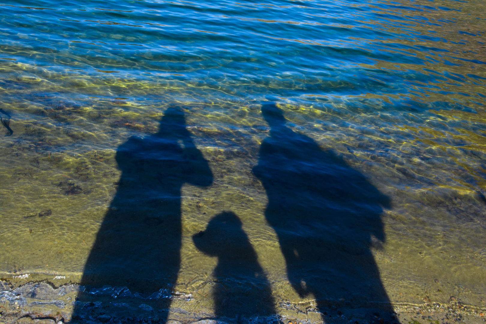 Schattenspiel im See