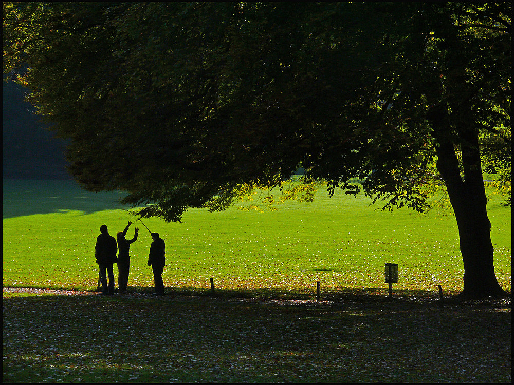 Schattenspiel im Wenkenhof