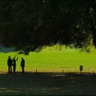 Schattenspiel im Wenkenhof