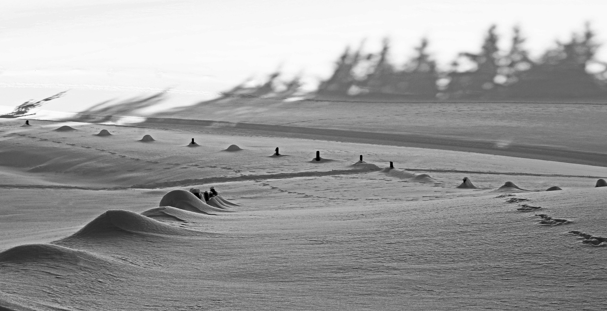 Schattenspiel in der Natur 